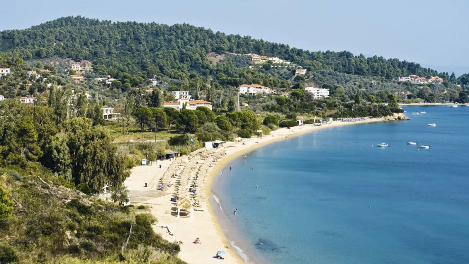 Aerial perspective of the sweeping golden sands and crystal-clear waters of Agia Paraskevi beach, defining the incredible proximity of our Agia Paraskevi Skiathos location.